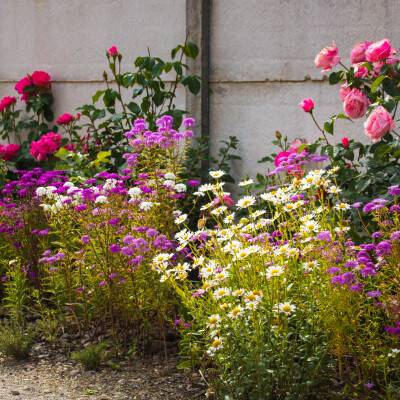 Planten op de juiste plek-bolletje