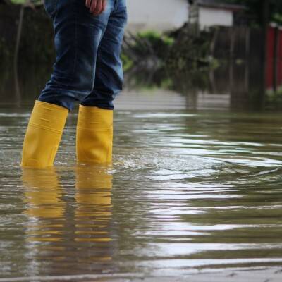 Verzekeren voor schade door wateroverlast-bolletje